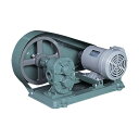 亀嶋鐵工所 ギャポンプ(電動機連結型) KAS06