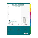 マルマン A4 ラミタブ見出し 8山 LT4008 1点