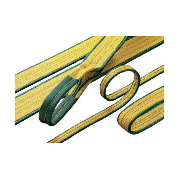 明大 シグマ A-1 300mm×20.0m(両端アイ形) A-1 300X20.0 1点