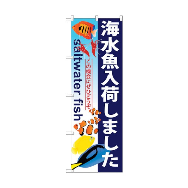 トレード city のぼり旗 海水魚入荷しました No.GNB-572 W600×H1800 6300014951 1点