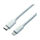 GR USB-C to LightningP[u(炩) 2.0m zCg MPA-CLY20WH 1_