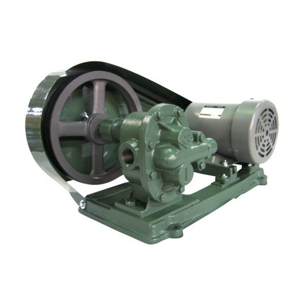 亀嶋鐵工所 ギヤーポンプ（安全弁付・電動機連結型） KA-2S 1/4 1