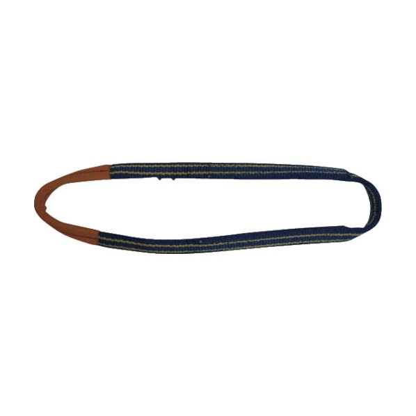 東レインターナショナル シグナルスリングSG4Nエンドレス形幅50mm長さ4．5m SG4N-50X4.50 1