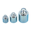 東京硝子器械 上皿天びん用分銅 10g 単品