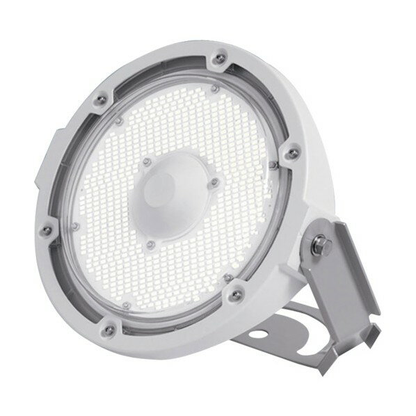 アイリスオーヤマ 高天井LEDランプ RZーR 投光器 LDRSP104N-110BS-I 1点