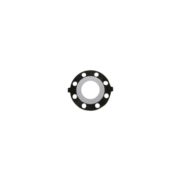 ѿ PTFE(ƥե)ѥå 250A JIS10K PP2F 1