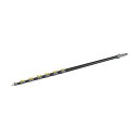 ケルヒャー 高圧洗浄機用アクセサリー 伸縮ポールTL 10 H(iSolar)2.2-10m 4.762-611.0 1点