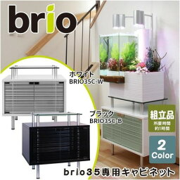 ベムパートナー brio35専用キャビネット (ホワイト) 550×400×560(mm) ホワイト ベム 329022 水槽