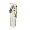 イスカル シュレッドミルP290 ヘリカルエンドミルホルダ P290ACK 1