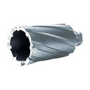 育良精機 大見50SQクリンキーカッター31.0mm CRSQ 310 1点