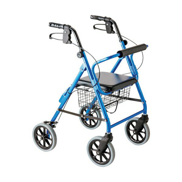 竹虎 ハッピーIINB ブルーメタリック 117005 1個