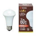 アイリスオーヤマ LED電球 人感センサー付 電球色 60形相当(810lm) - LDR9L-H-SE25 1点(3)