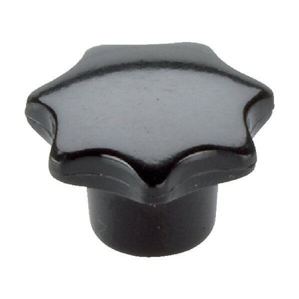 ロームヘルド・ハルダー スターグリップ DIN6336 プラスチック 形状K スチール 24670.0280 1点