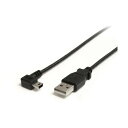 STARTEC.COM USB 2.0P[u/1.8m/Type]A - L^EMini-B/IX-IX/ubN/^CvA - ~jB USB2HABM6RA 1{