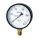 右下精器 スター(圧力計) 105 x 105 x 45 mm S-31-0.16MP 1個