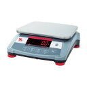 オーハウス レンジャー3000 6kg/0.2g 30031769 R31PE6 1個