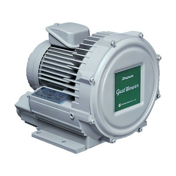 昭和 電機電動送風機渦流式高圧シリーズガストブロアシリーズ(0.4kW) U2V40T