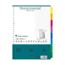 マルマン B5 ラミタブ見出し 8山 LT5008 1点