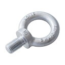 浪速鉄工 アイボルトクリスタルコートM24 EBH000024 1