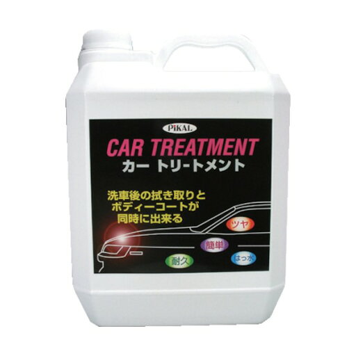 ピカール カートリートメント4L 50300 1 ピカール カートリートメント4L 50300 1