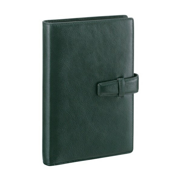 レイメイ藤井 ダヴィンチシステム手帳スタンダード(聖書)15MMグリーン DB3006M 1点