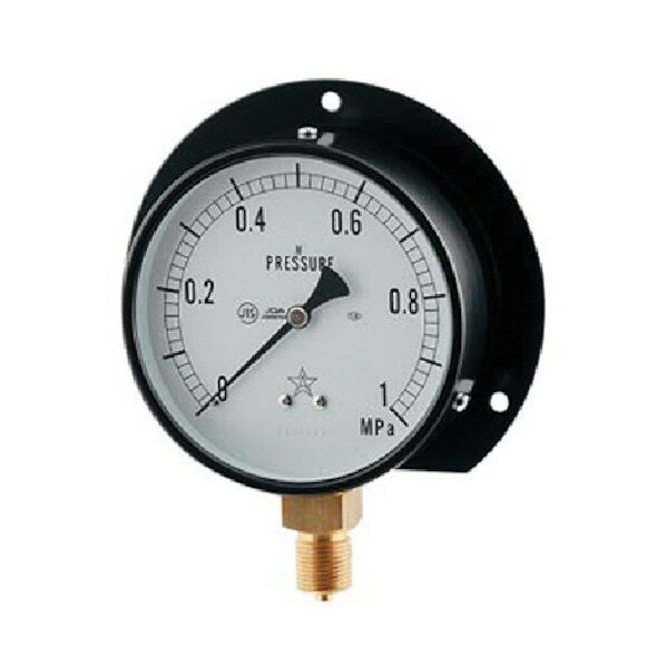 カクダイ 蒸気用圧力計(一般用・Bタイプ) 649-874-05B 1点