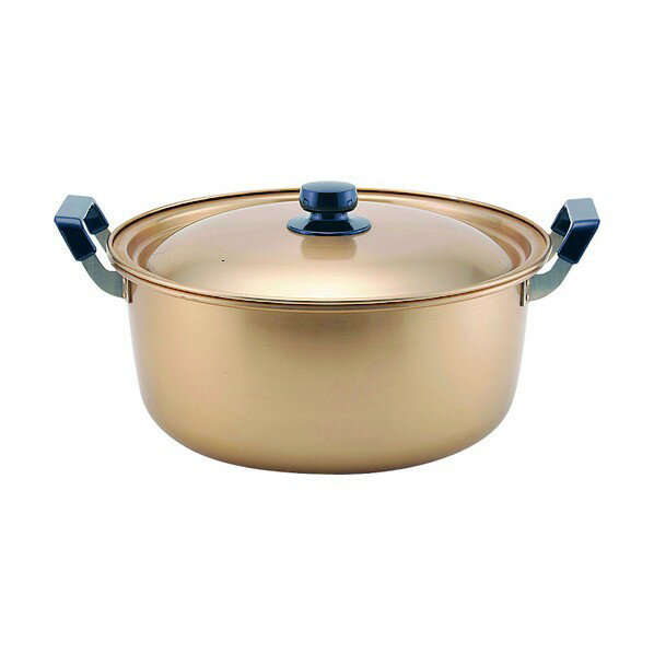 hokua 本しゅう酸 美菜食 両手鍋 AAZ0110 1個