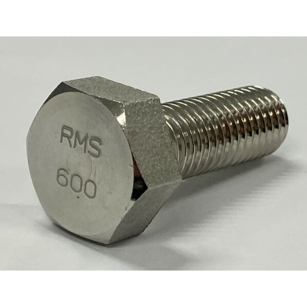 ͳɻ Alloy600 ϻѥܥ 22-BZ M16X45(10pcs) 10