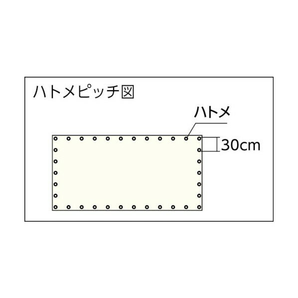 トラスコ(TRUSCO) ターポリンシートブルー1850X50M0．35mm厚 TPS1850R-B 1点