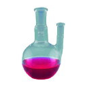 東京硝子器械 Fine透明共通二口フラスコ 300mL 24-15 330-13-63-41 1点(4)
