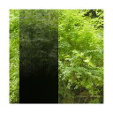 グリーンクロス ファサラ グラデーション SH2BKIM イルミナ ブラック 1270mmX30m 6300034600 1本