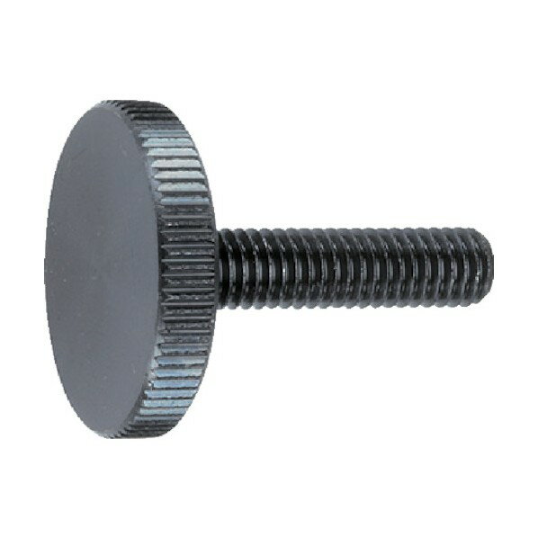 ロームヘルド・ハルダー フラットナールドボルト DIN 653 スチール 24770.0174 1点