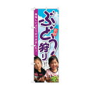 トレード のぼり旗 ぶどう狩り 子供写真 No.SNB-2202 W600×H1800 6300016306 1点