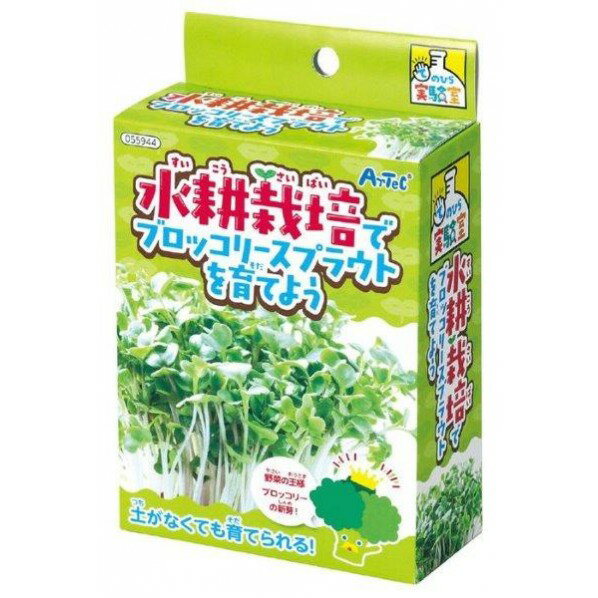 アーテック 水耕栽培でフ゛ロッコリースフ゜ラウトを育てよう 55944 1セット