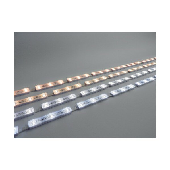 ȥ饤 LED⥸塼 Viewmo24 3000K L1000 TLVM+302-33P-010-WWC 1