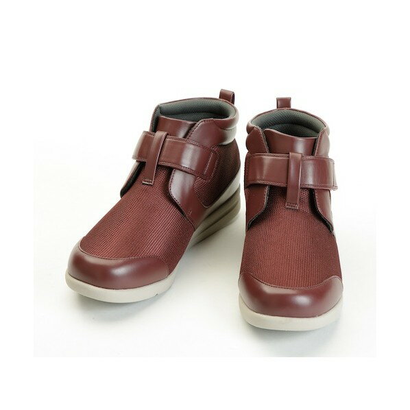 𻺶 ϥեå 3L(25.025.5CM) 磻 13170750061 1