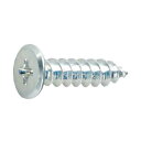 サンコーインダストリー 三価ホワイト (+)スリムヘッド Aタッピング 4×16 20-00-A300-0040-0160-03 500本