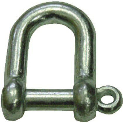 スリーエッチ ネジシャックル電気メッキ 6mm NS6 1