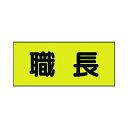 ユニット 差込式ベスト用差込シート 職長 130×300 379-666 2枚
