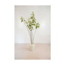 グリーンクロス 人工樹木/人工観葉植物 スモークツリー 6300028767 1点