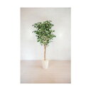 グリーンクロス 人工樹木/人工観葉植物 バーチ 6300028789 1点