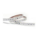 グリーンクロス LEDベルトライト 50m巻 AC200V 6300033788 1巻