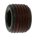 サンコーインダストリー ストッキングプラグシズミ GM 1/8 A0-00-581S-8010-0000-00 500本