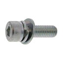 サンコーインダストリー 3価ホワイト 10.9CAP I=3 岡井鉄工所製 8×40 A0-00-913J-0080-0400-03-10 10本(4)