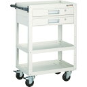 トラスコ(TRUSCO) イーグルワゴン 750X500 引出付 4輪自在 W色 EGW-973V2J-W