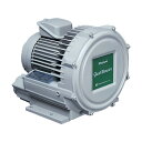昭和電機 電動送風機渦流式高圧シリーズガストブロアシリーズ(2.2kW) U2V220 1