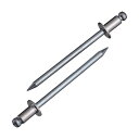 エビ印 ブラインドリベットステンレス/スティール4−1(1000本入) 105 x 81 x 121 mm NSS4-1 1000本
