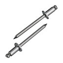 エビ印 ブラインドリベットステンレス/ステンレス8−4(500本入) 171 x 123 x 197 mm NST8-4 500本