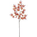 イロハモミジの花言葉と誕生花 花の持つ言葉 イロハモミジの花言葉と誕生花 花の持つ言葉