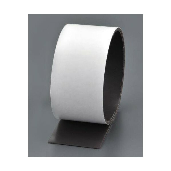 エスコ 強力マグネット(強粘着付) 50x2mm/1m EA781BR-13【2506DFD_3】